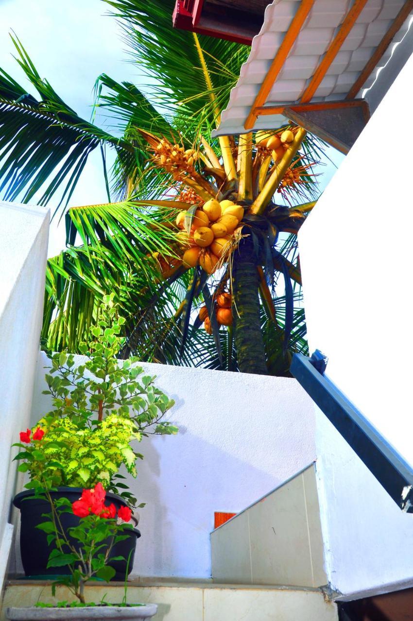Hotel Senero House Bentota Exterior foto